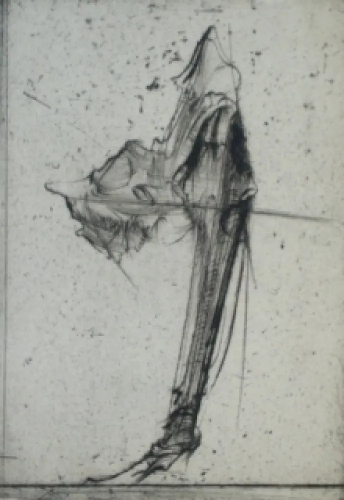 エッチング Dado - Sans titre