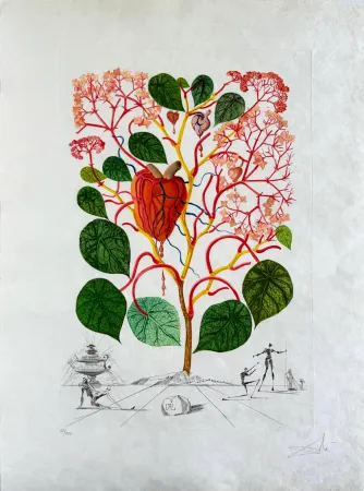 ポイントーセッシュ Dali - Begonia (Anacardium recordans)