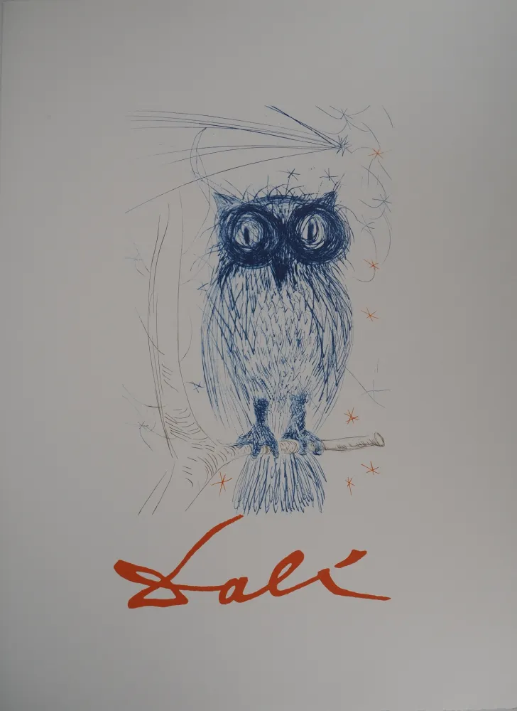 リトグラフ Dali - Chouette bleue