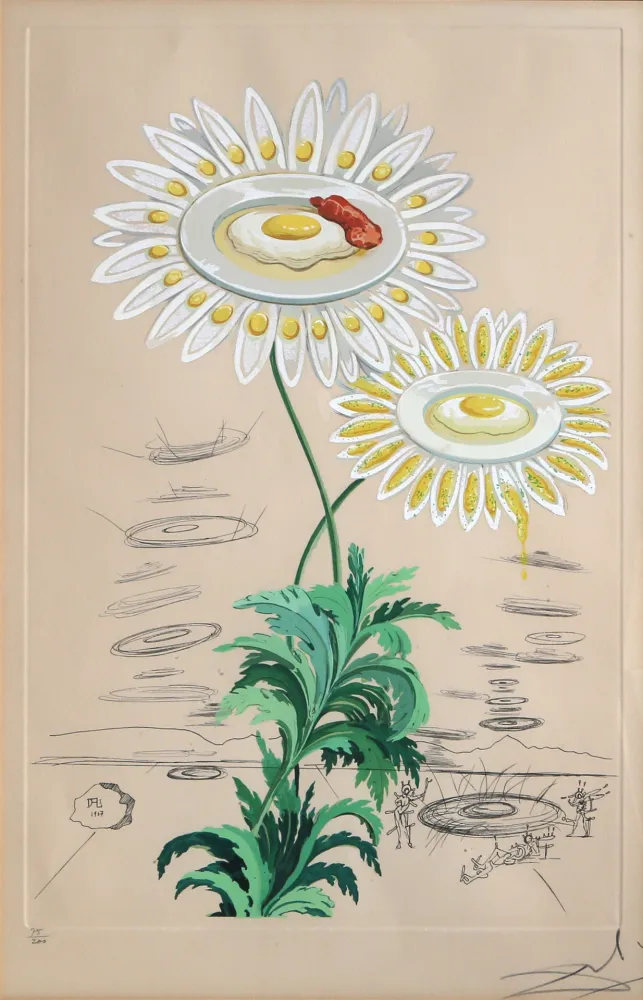 彫版 Dali - Chrysanthemum Frutescens