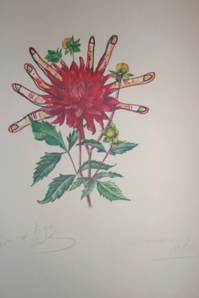 リトグラフ Dali - Dahlias of Dalí (surrealistic flowers)
