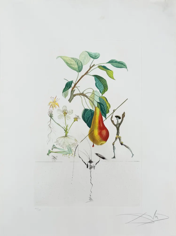 リトグラフ Dali - Don Quixote Pear from Flordali suite
