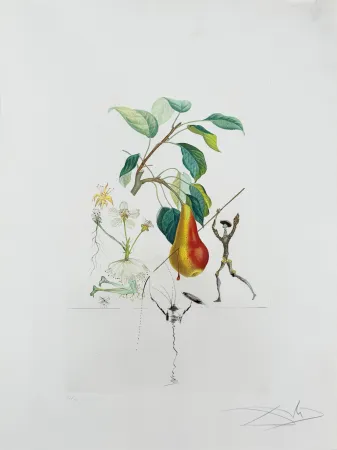 リトグラフ Dali - Don Quixote Pear from Flordali suite