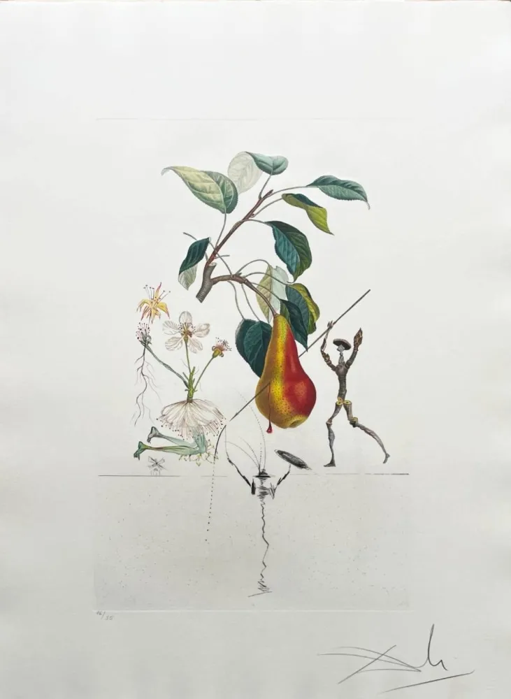 リトグラフ Dali - Don Quixote Pear from Flordali suite