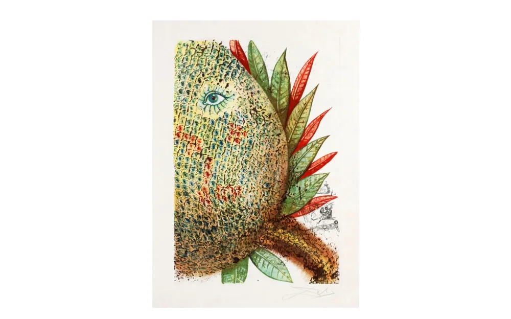 エッチングと　アクチアント Dali - FLEURS RÊVÉES. Portfolio complet. 7 estampes (1970)