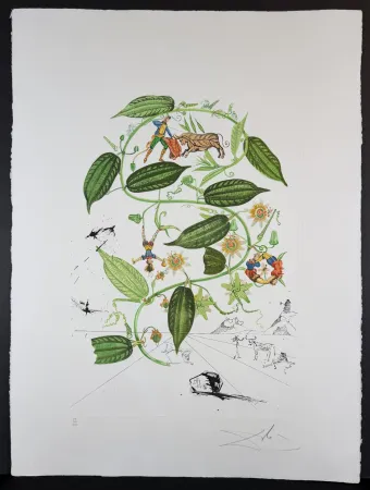 彫版 Dali - Flora Dalinae Passionflower