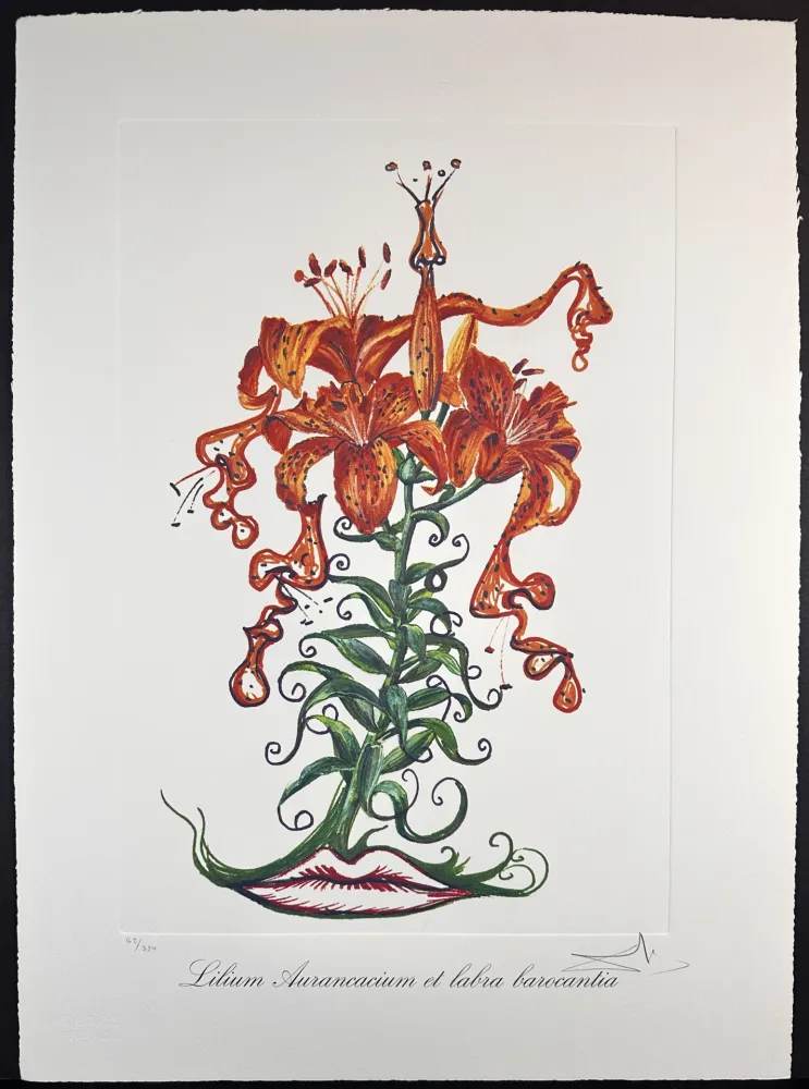 彫版 Dali - Florals Tiger Lilies of The Theatre
