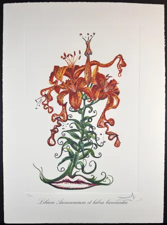 彫版 Dali - Florals Tiger Lilies of The Theatre