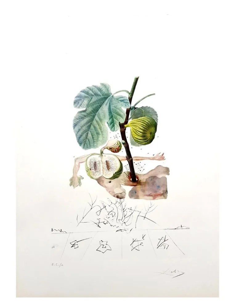 彫版 Dali - Flordali - Homme Figuier