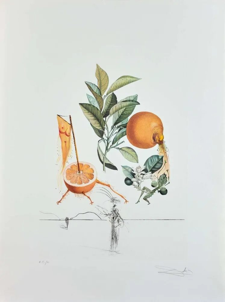 彫版 Dali - Flordali - Pamplemousse Erotique