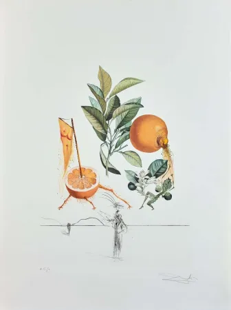 彫版 Dali - Flordali - Pamplemousse Erotique