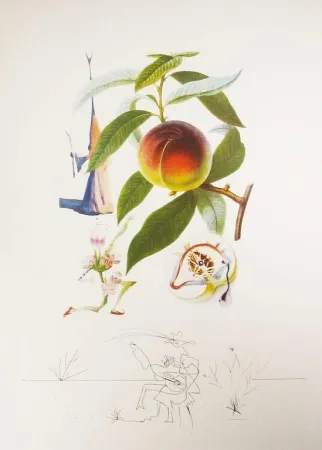 彫版 Dali - Flordali - Pêcher Pénitent