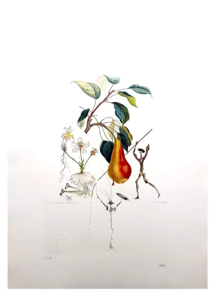 彫版 Dali - Flordali - Poire Don Quixote
