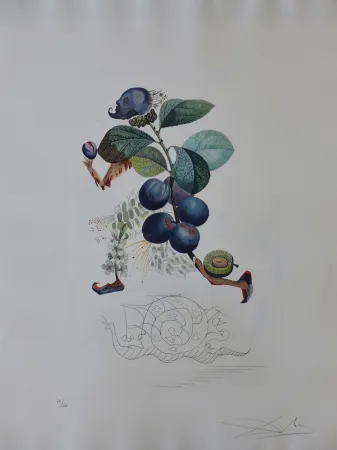 彫版 Dali - Flordali - Prunier Hatif