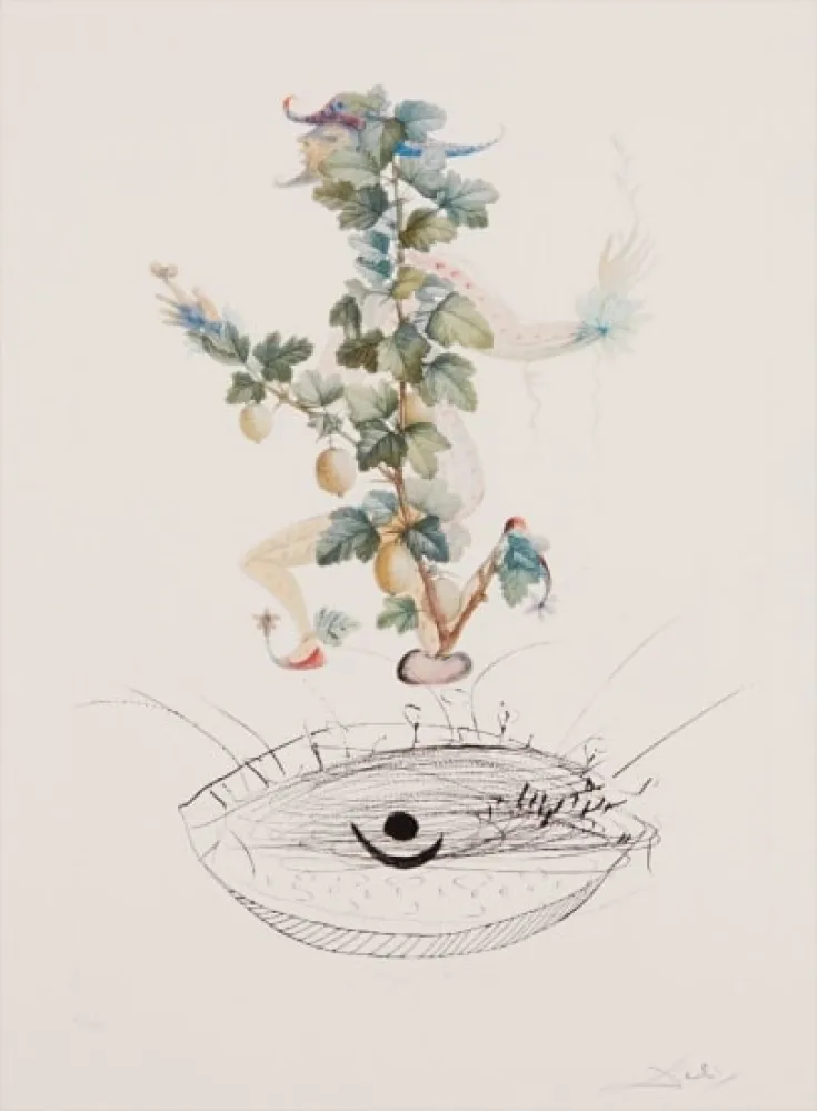 彫版 Dali - Flordali - Révérence du Groseiller