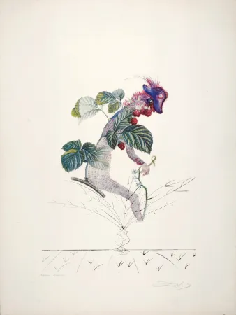 多数の Dali - Framboisier, 1969-1970 - Hand-signed!