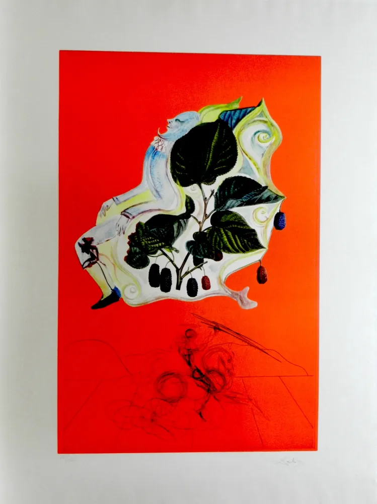 彫版 Dali - Fruits Blackberries