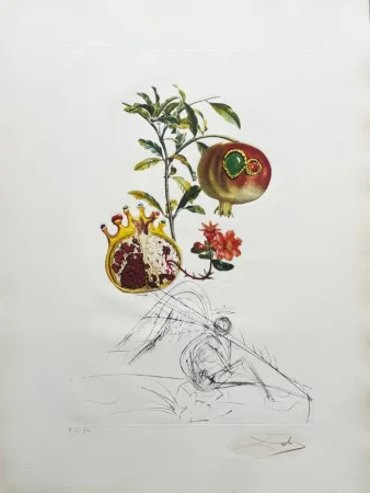 リトグラフ Dali - Grenade et l’ange (Pomegranate and Angel)
