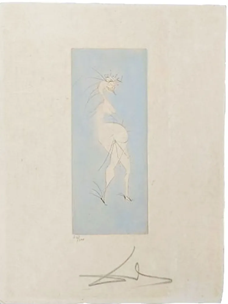 ポイントーセッシュ Dali - Grotesque