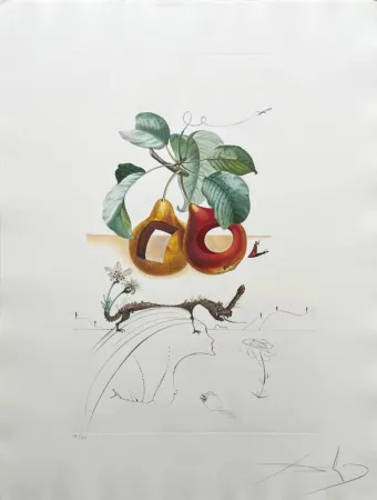 リトグラフ Dali - Holed Fruit from Flordali suite