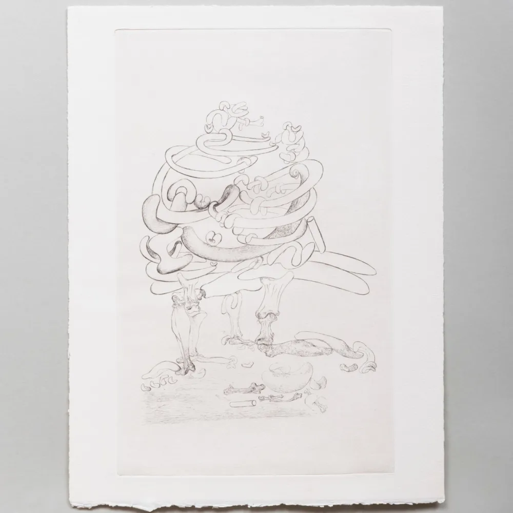 ポイントーセッシュ Dali - Les Chants de Maldoror: Bone Chair