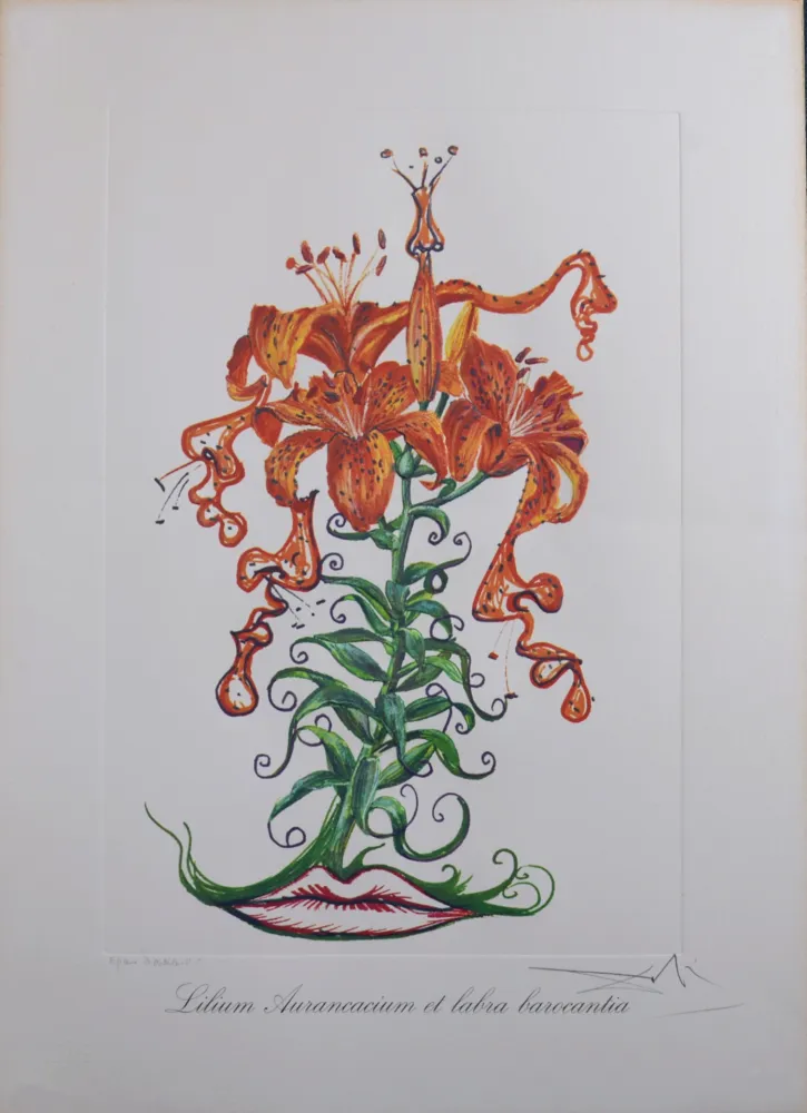 多数の Dali - Lilium Aurancacium et labra barocantia, 1972 - Hand-signed!