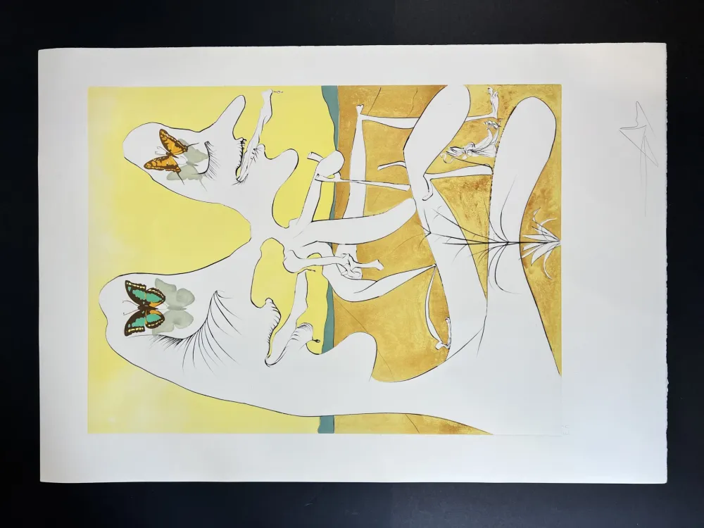 多数の Dali - Papillons de l’anti-matière