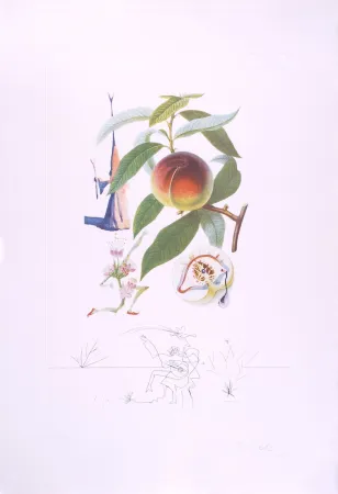 ポイントーセッシュ Dali - Pécheur pénitent - Peach (Suite Flordali Les Fruits)