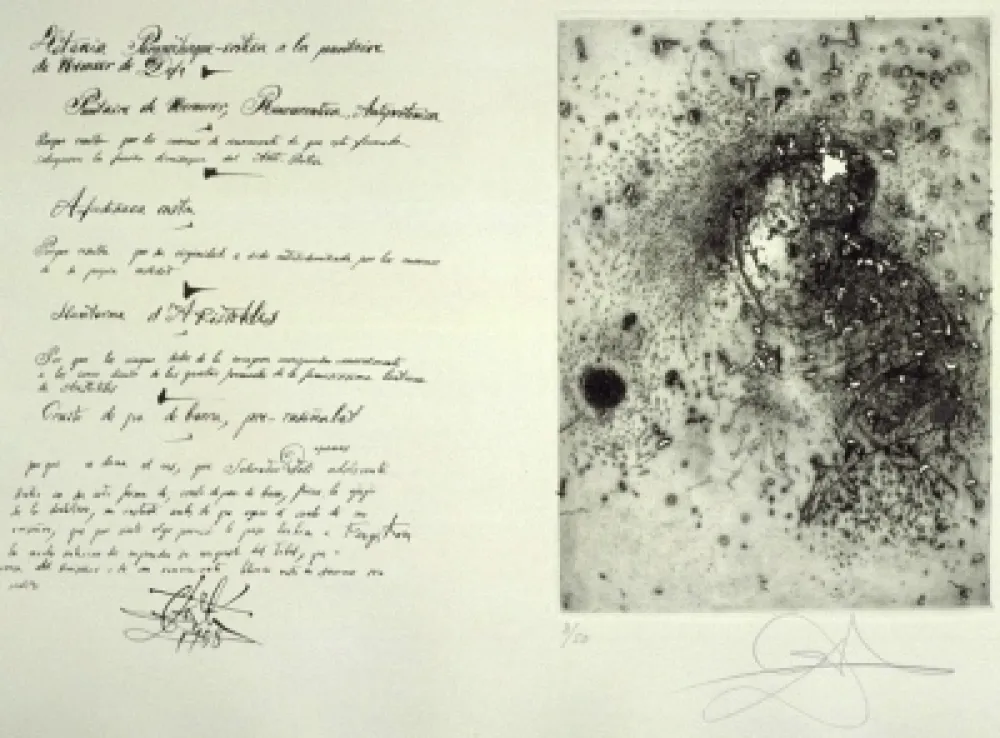 彫版 Dali - Puntaire de Vermeer (La Dentellière)