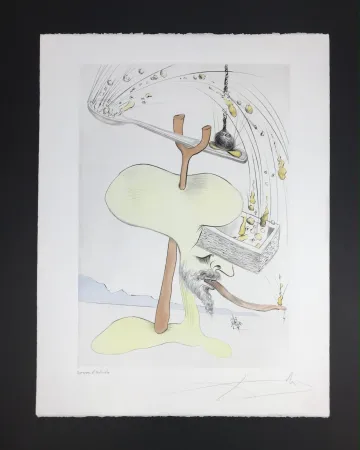 多数の Dali - Quevedos Visiones