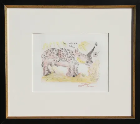 彫版 Dali - Rhinoceros