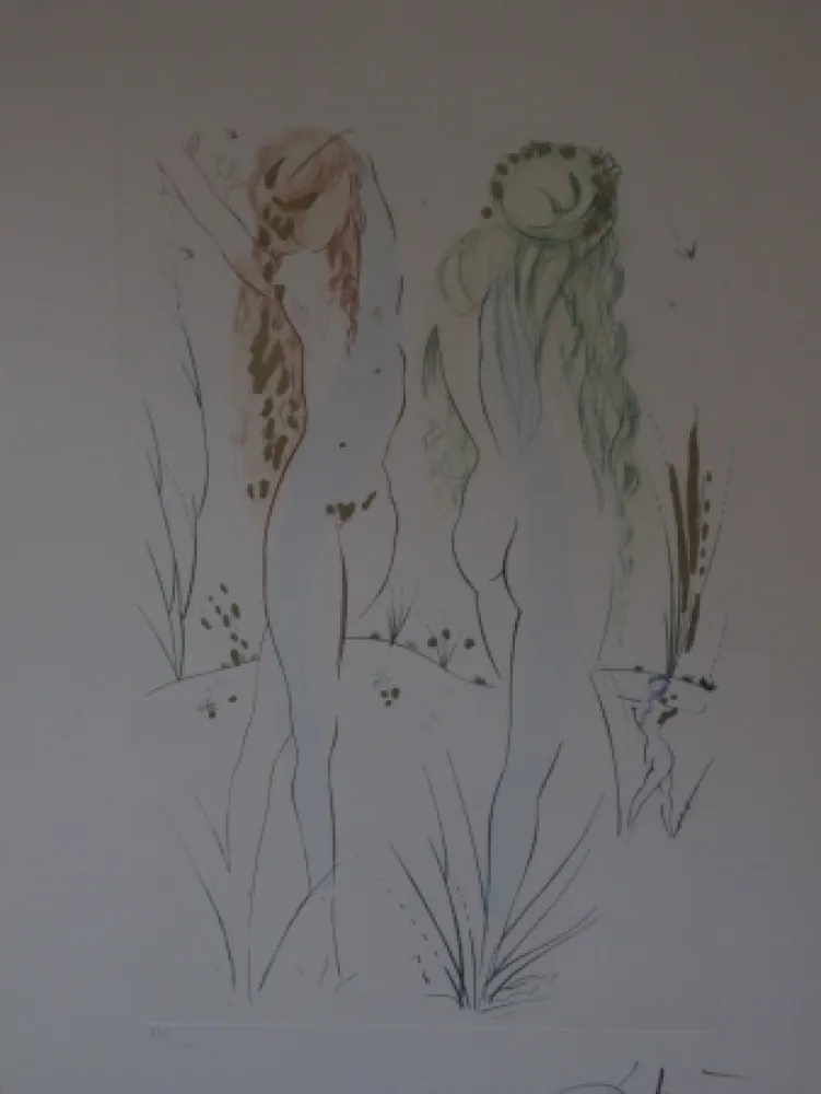 エッチングと　アクチアント Dali - Sans titre