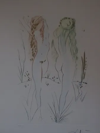 エッチングと　アクチアント Dali - Sans titre