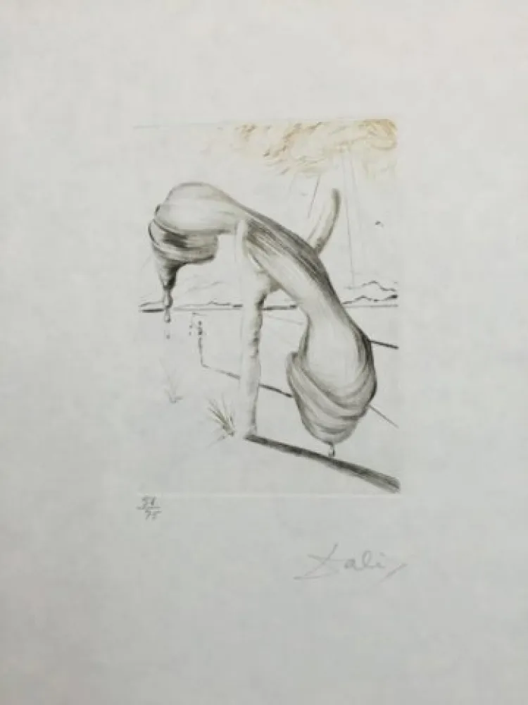 ポイントーセッシュ Dali - Teléphone Mou