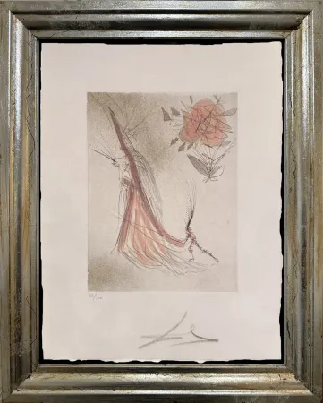 ポイントーセッシュ Dali - The Ghost and the Rose (The Spectre and the Rose)