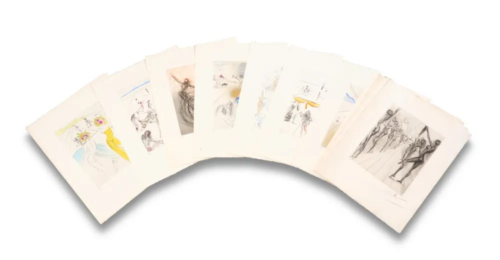 ポイントーセッシュ Dali - The Hippies