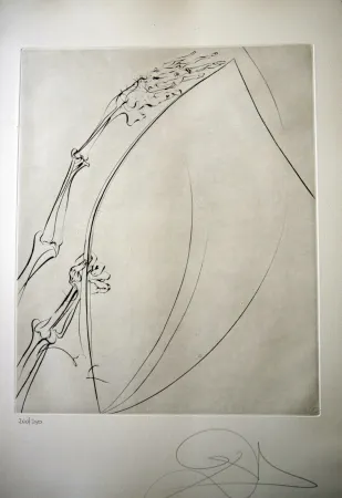 ポイントーセッシュ Dali - THE ROD