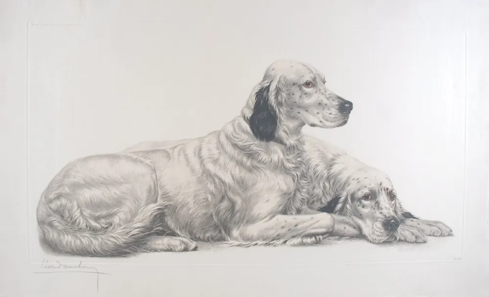 彫版 Danchin - Deux Setters couchés (Setters au repos) - Two English Setters at rest