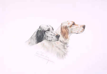 リトグラフ Danchin - Deux têtes de Setters - Two Setters heads (Original)