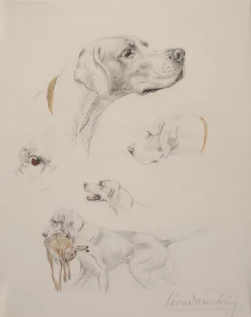 技術的なありません Danchin - Etude de pointer