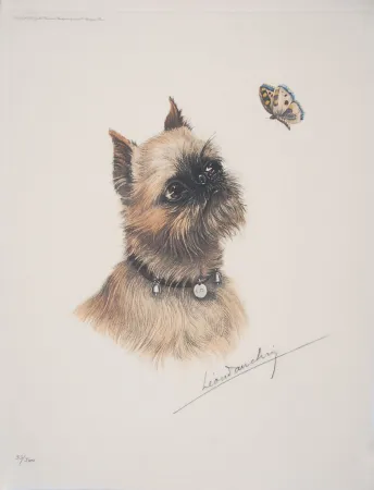 エッチング Danchin - Griffon Bruxellois et papillon - Brussel Griffon and butterfly
