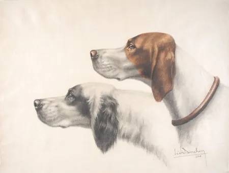 技術的なありません Danchin - Setter Anglais et Braque Français