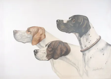 リトグラフ Danchin - Three Pointer head - Trois têtes de Pointer (Original)