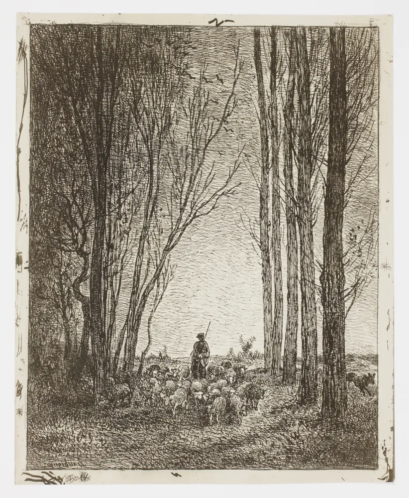 技術的なありません Daubigny - La Rentrée du Troupeau (Return of the Flock)