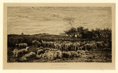 彫版 Daubigny - Parc à moutons:  le matin, in 