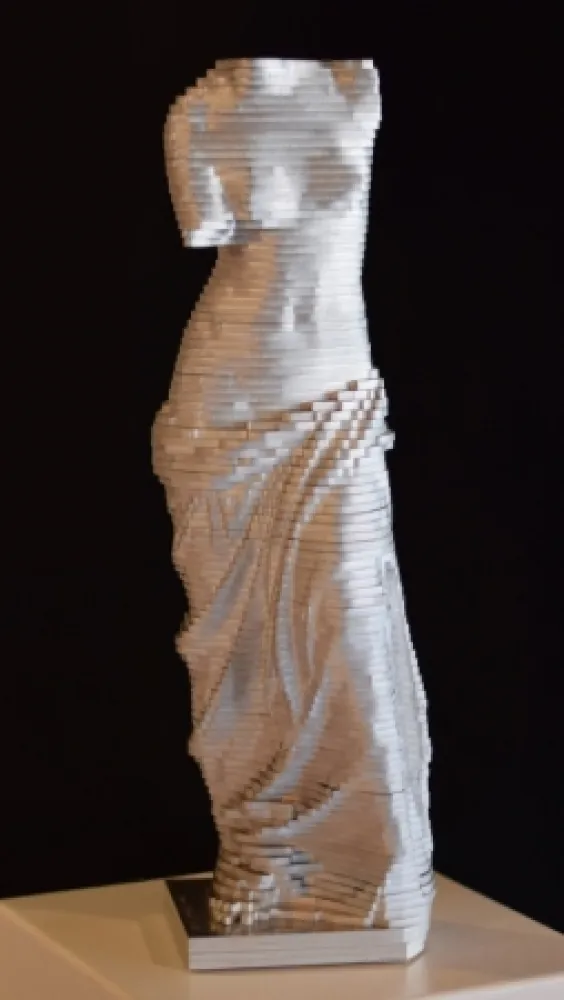 技術的なありません David - Small Vénus