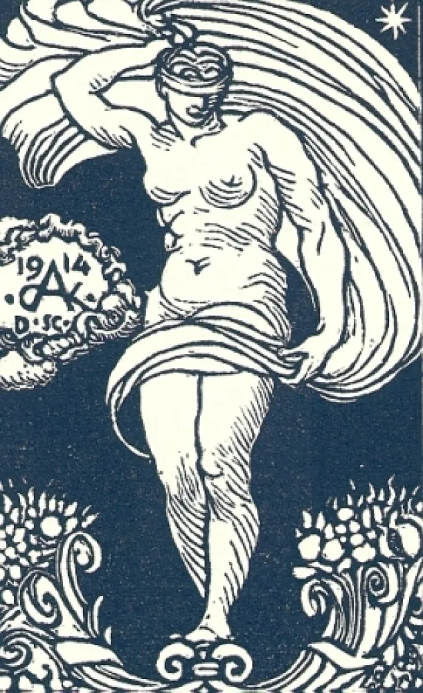 挿絵入り本 De Carolis - Le carte da gioco