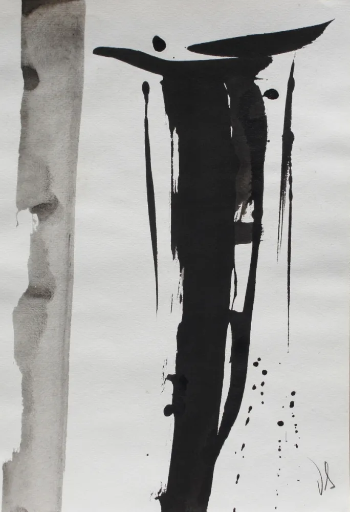 技術的なありません Debré - Signe 2