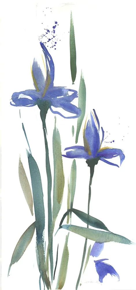 技術的なありません Decker-Kern - Iris