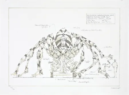 リトグラフ Delarozière - L'araignée géante